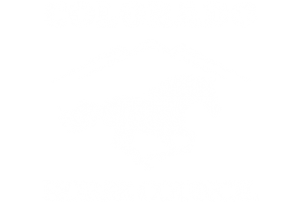 colorado horse council logo