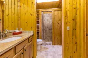 bathroom wood walls